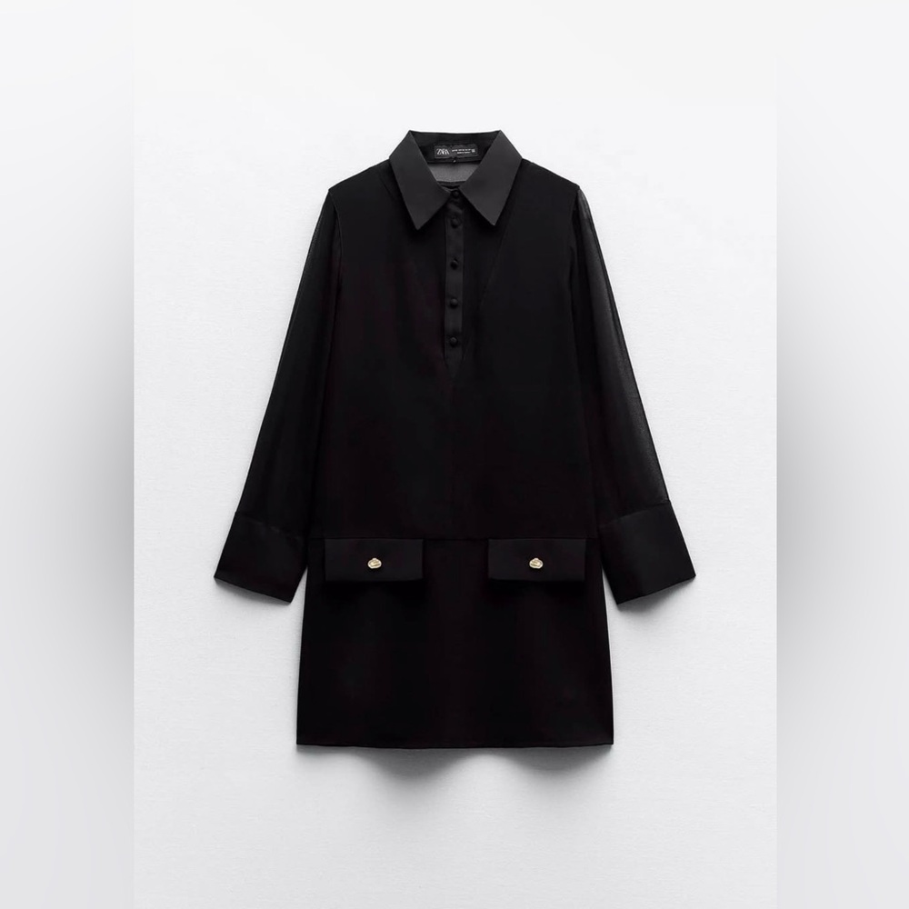 Zara Semi Sheer Mini Dress